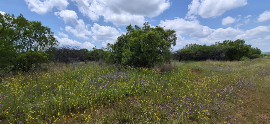 10 Bedroom Property for Sale in Swartruggens North West